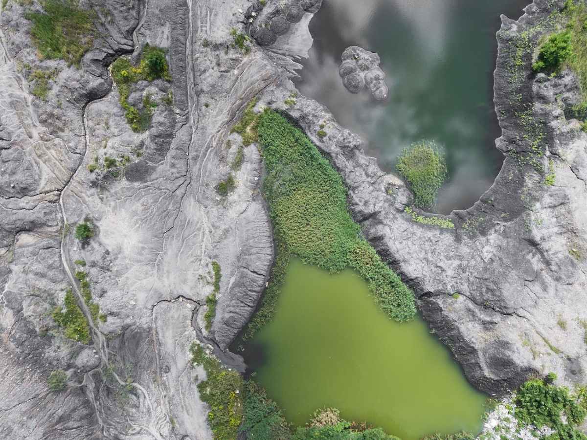 Какова Цвета Планета? – Translation to&nbsp;English